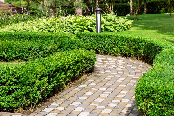 Cost of Paved Landscaping in Santa Monica