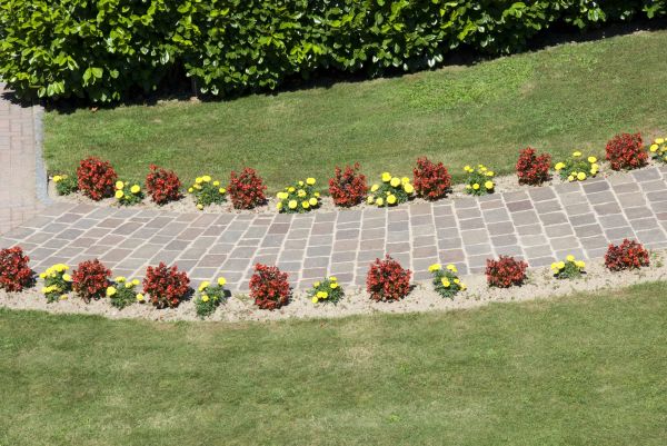 Garden Paving in Santa Monica