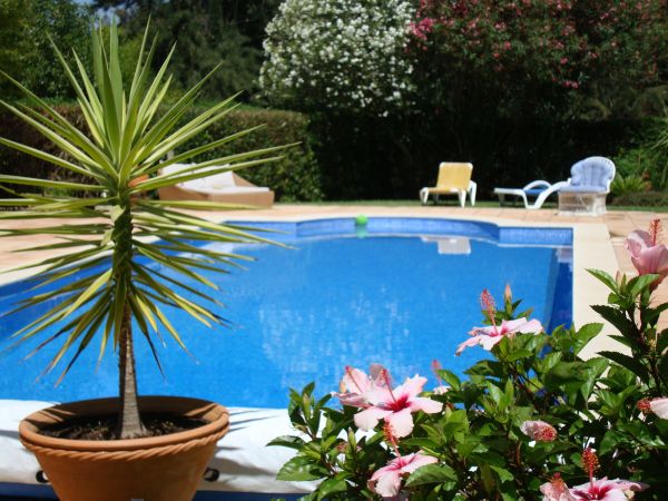 Cost of Pool Terrace Renovation in Santa Monica