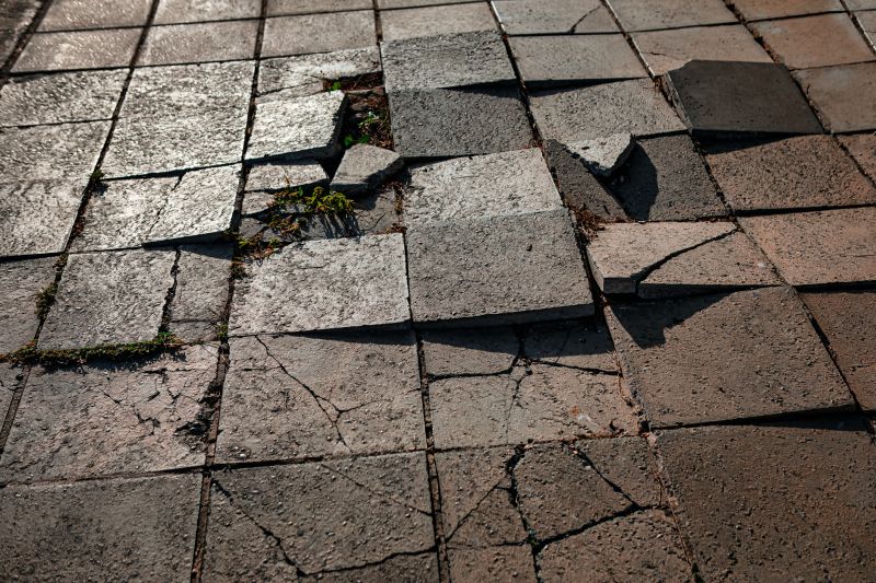 Winter Pavers Repairs